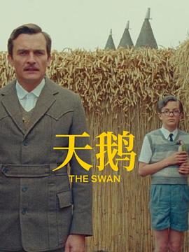 日韩精品久久久久久中文字幕8